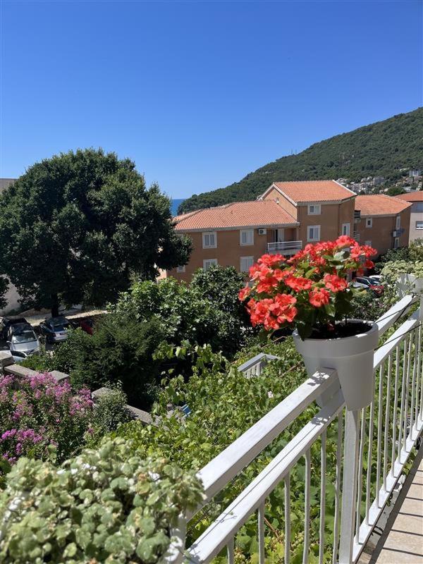 Apartmani Neda Bane Petrovac 外观 照片