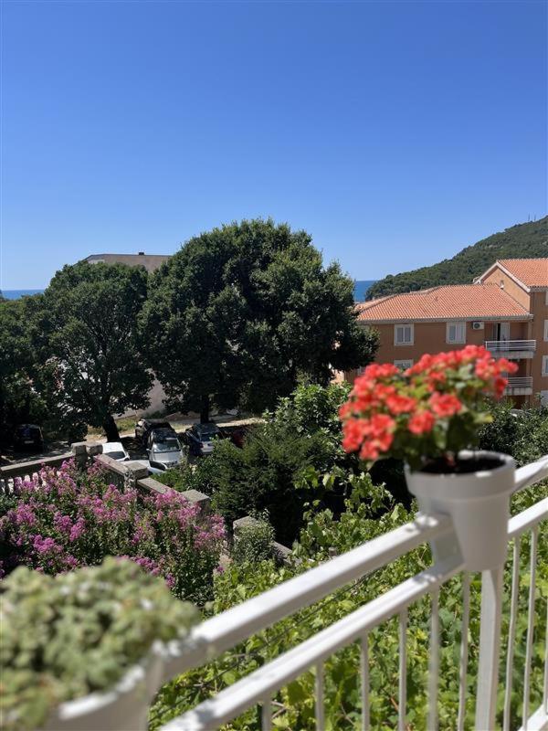 Apartmani Neda Bane Petrovac 外观 照片